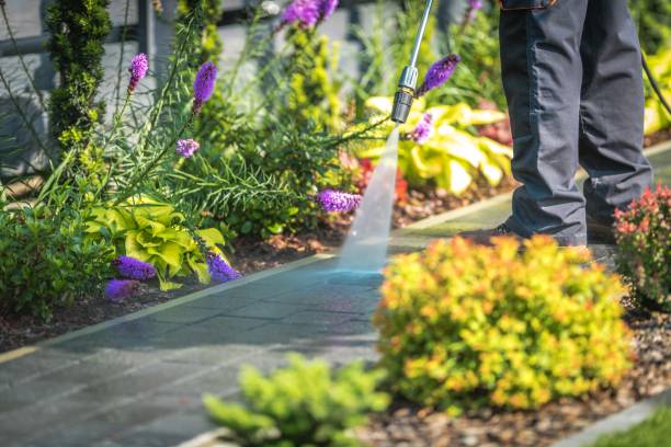 Best Parking Lot and Garage Cleaning  in Reidland, KY