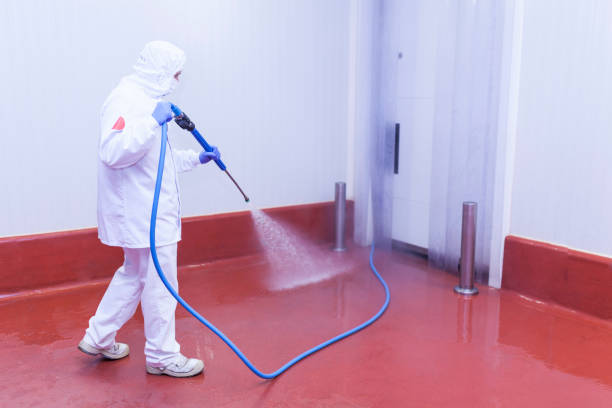 Professional  Pressure Washing Services in Reidland, KY
